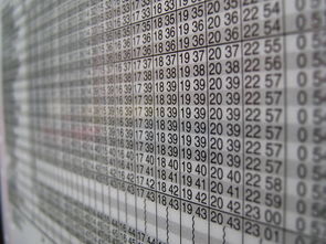 开云体育官网-高校运动训练计划科学制定研究,运动训练计划的制定依据