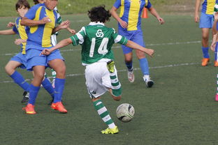 开云ky官网-女子冰球赛中，中国女队逆转韩国展现强大实力，中国女子冰球联赛